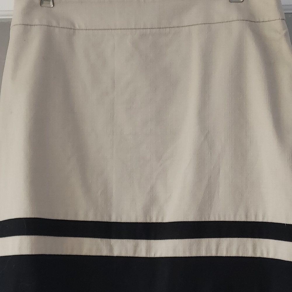 Anne Taylor Loft Skirt